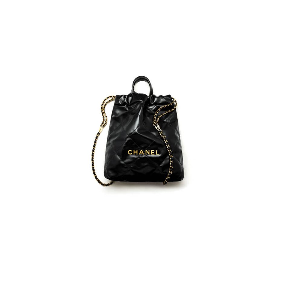 Ch*el 22 backpack