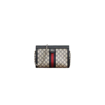 Gucci Ophidia GG bag